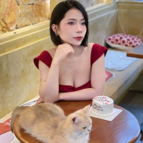 Đông Miên - Ảnh 5